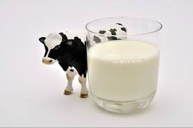 Lait 1/2 Ecrémé Litre