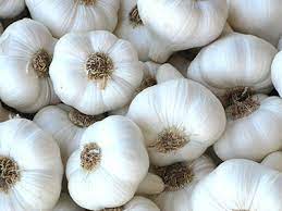 Garlic - Kg